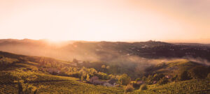 partners in wine wa vineyard that their shiraz comes from.