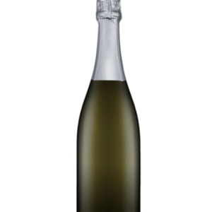 bottle of cleanskin prosecco wine, no label.