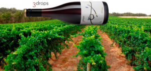 3drops pinot noir, mount barker set against a background of their vineyard