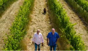 Byron & harold walking through the vines of their winery called Byron & Harold