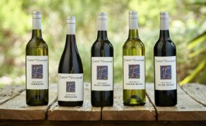 5 bottles of faber wines, swan valley, western australia. Picture shows Chenin Blanc, Petit Verdot, Shiraz, Verdelho, Vermentino.