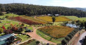picture of myattsfield vineyard, bickley valley. Wine delivery perth
