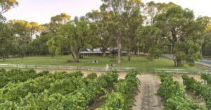 picture of peel estate vineyard, perth, western australia. wine delivery perth