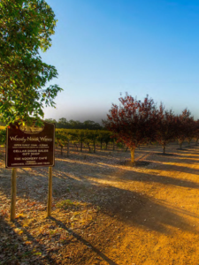 woody nook wines driveway