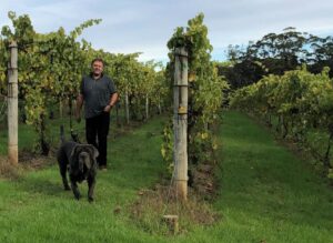 james kellie from harewood estate walking in the vineyards with his dog