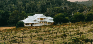 ampersand vineyard in pemberton