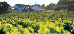 hay shed hill vineyard