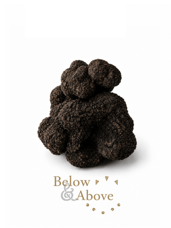 Below & Above truffles