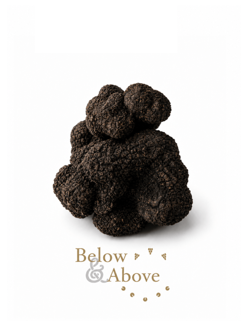 Below & Above truffles